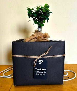 Bonsai gift-packed in a dark box with twine and a thank-you tag