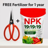 Bonsai care kit — scissors and a 1-year fertiliser pack